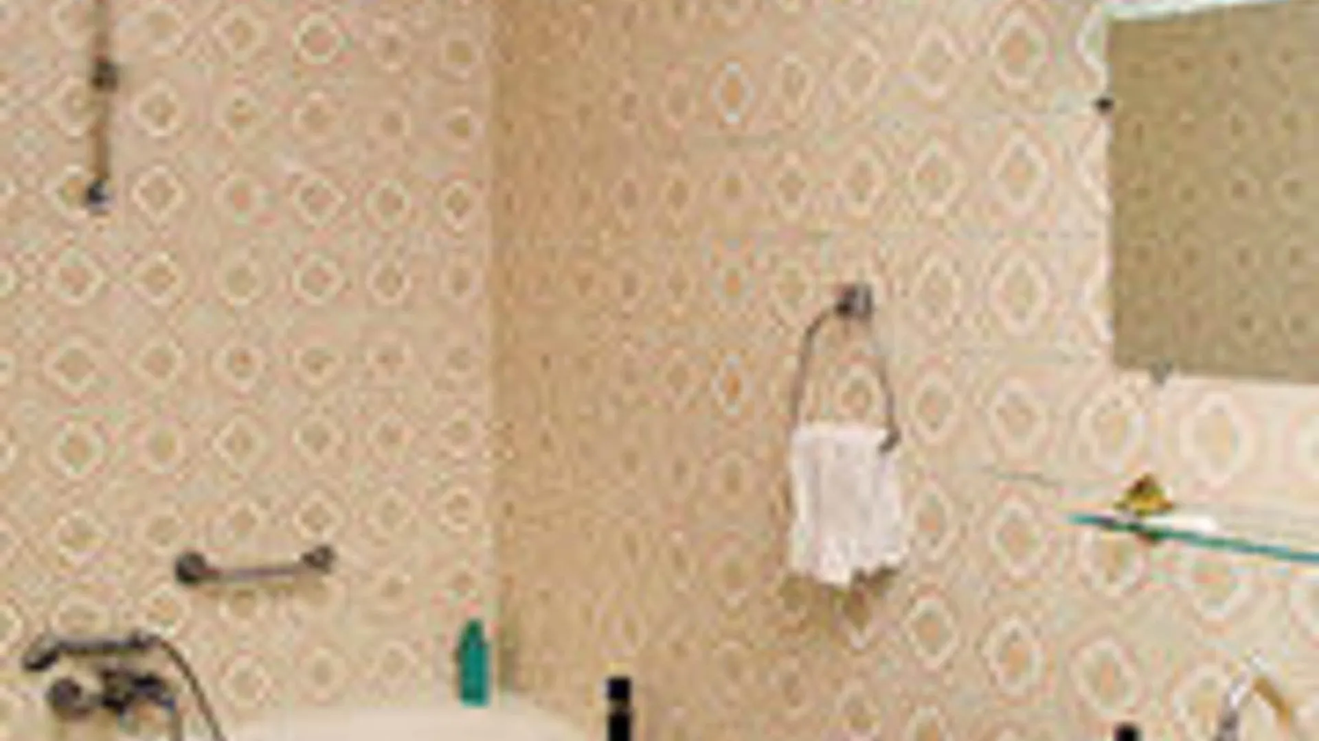 Camelia International Hotel 2*