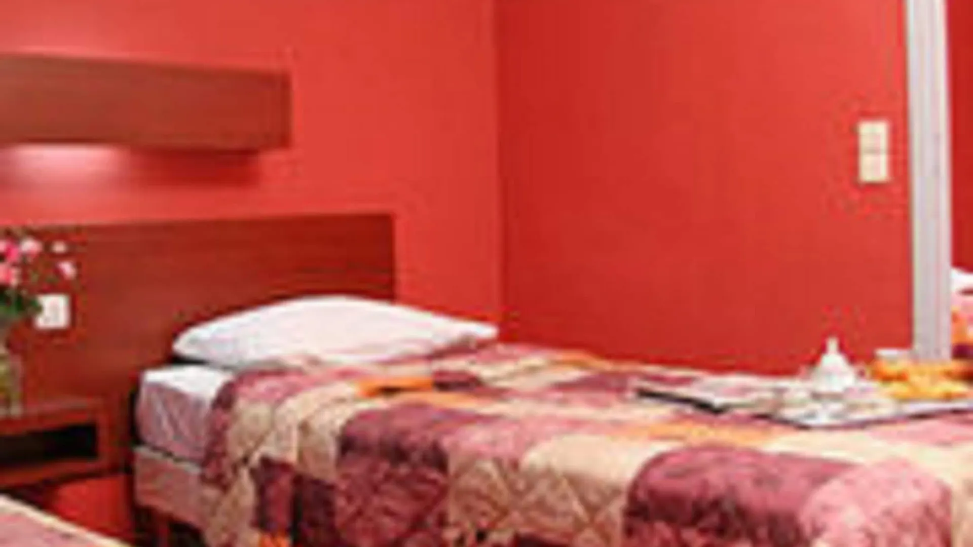 Camelia International