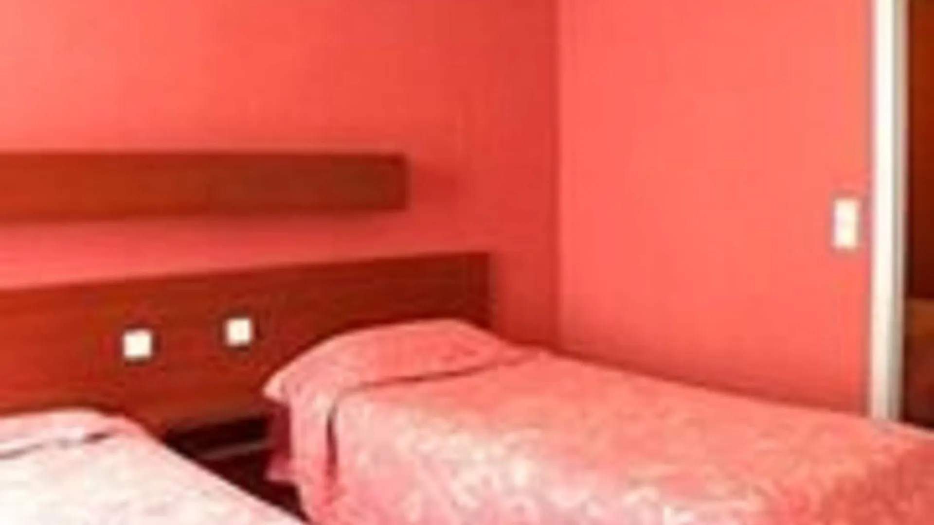 Camelia International 2*