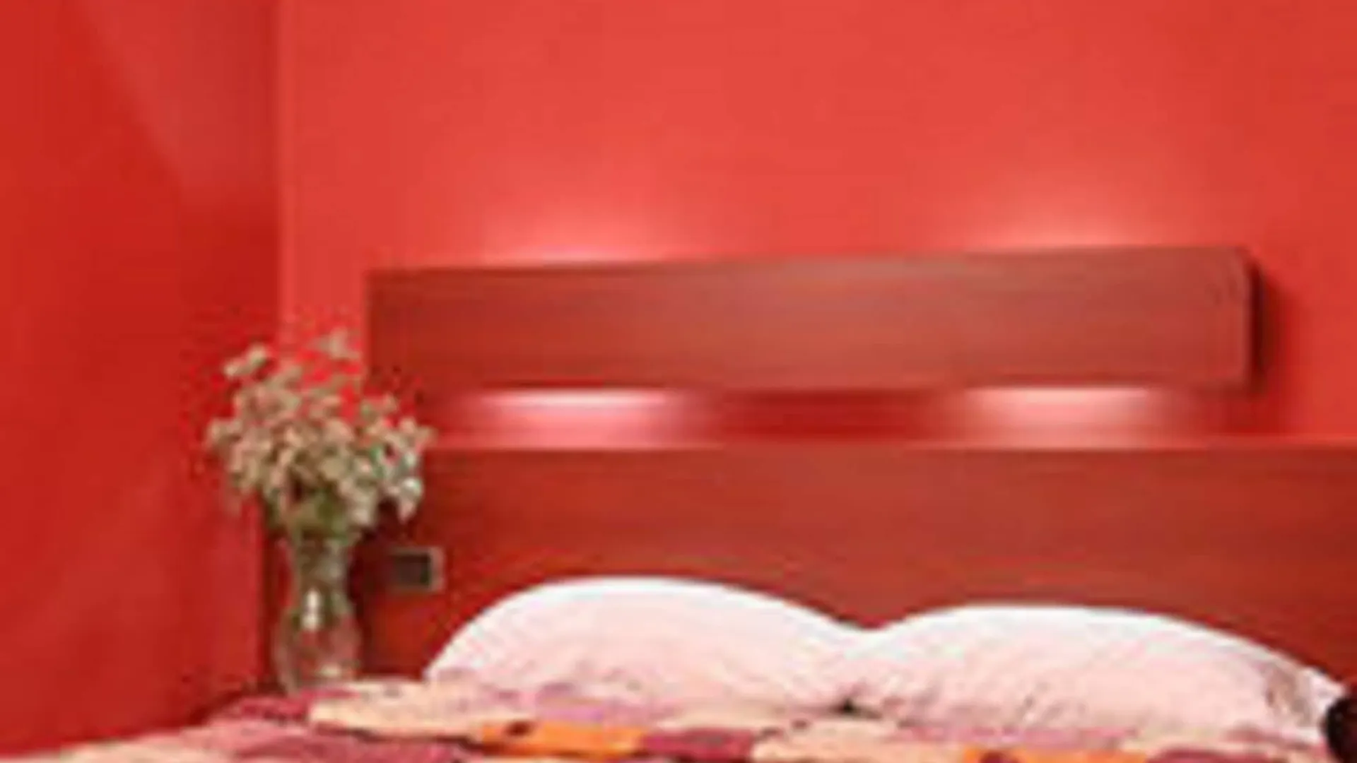 Camelia International 2*