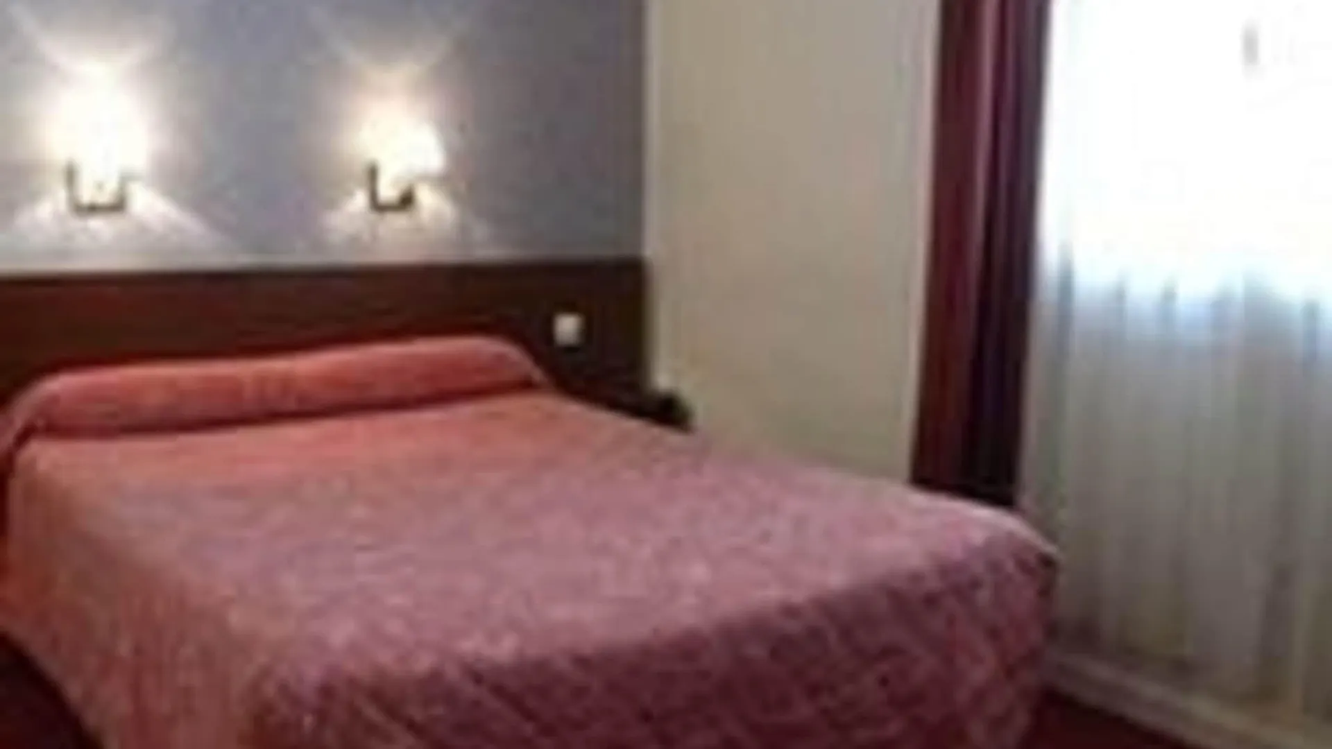 Hotel Camelia International